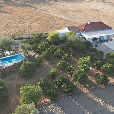 Villa Los Arcos Málaga Exterior foto